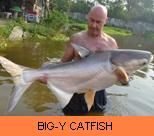 Photo Gallery - Big-Y Catfish