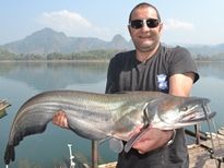 Fishing in Thailand - Wallago Attu