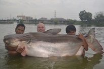 Mekong Catfish