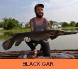 Photo Gallery - Black Gar
