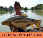 Photo Gallery - Juliens Golden Price Carp