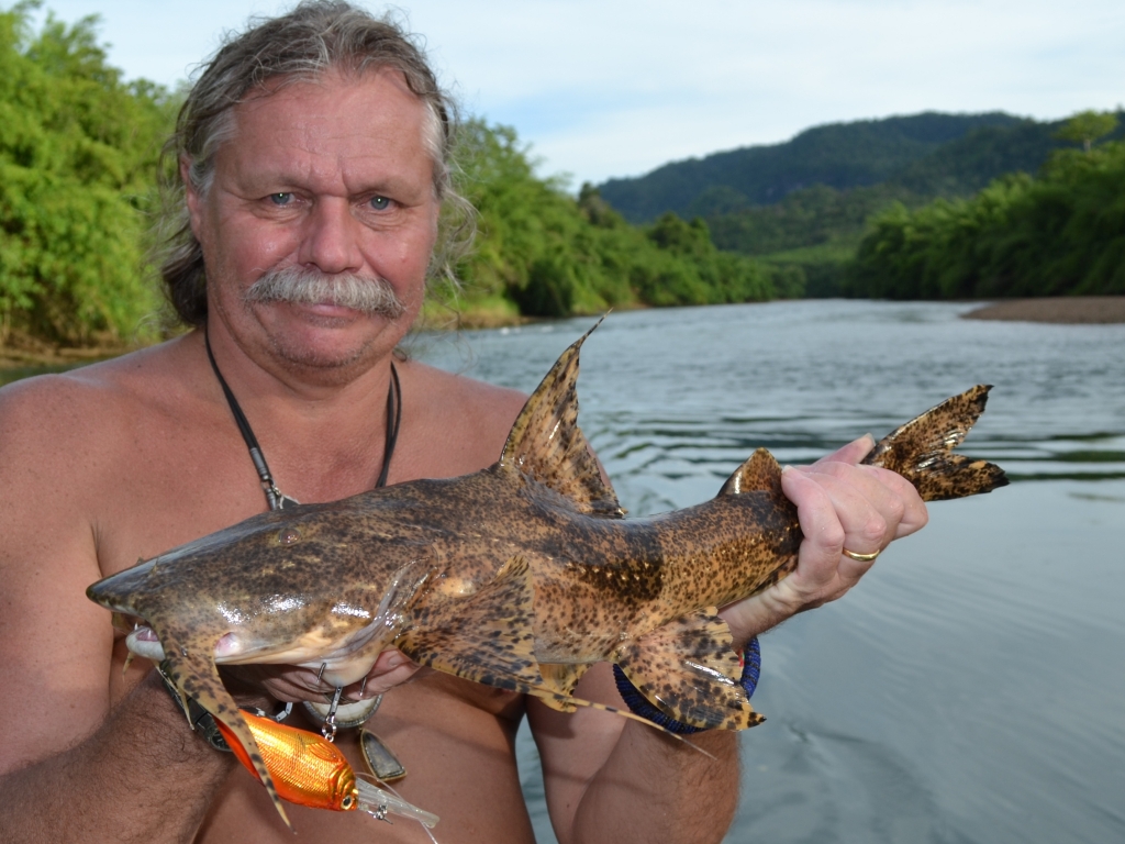 Goonch Catfish World Record