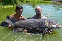 Fishing in Thailand - Siamese Carp