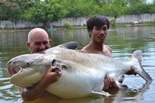 68kg Chao Phraya