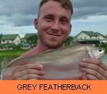 Thai Fish Species - Grey Featherback