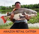Photo Gallery - Amazon Redtail Catfish