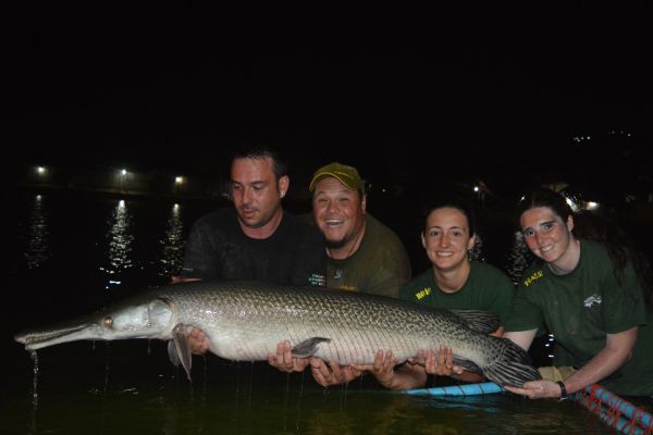 Gallery - Fishing in Thailand at Teak Tree Lake Alligator Gar