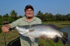 Barramundi