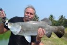 Barramundi