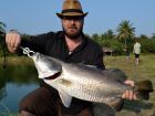 Barramundi