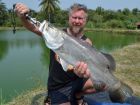 Barramundi