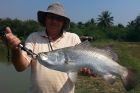 Barramundi