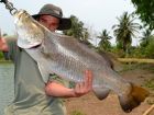 Barramundi