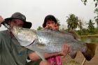 Barramundi